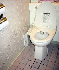 Image result for german toilet