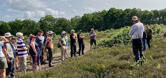 Image result for Bucklebury Cricket Club