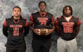 Image result for Reading Knights