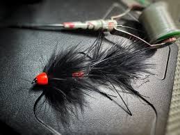 Image result for Warlingham & District Anglers` Society