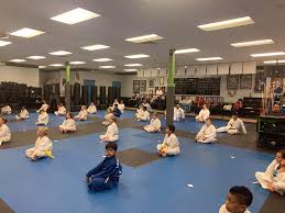 Image result for IXL Martial Arts