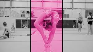 Image result for Spelthorne School Of Gymnastics