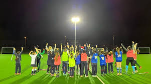 Image result for Norwich Dragons Hockey Club