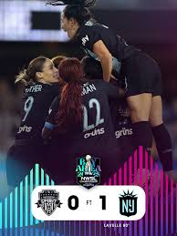 Image result for Gotham Soccer League