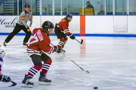 Image result for Piranhas Inline Hockey Club