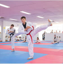 Image result for Backwell Karate