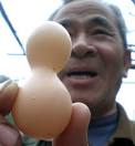 gambar foto Ayam bertelur kembar. Seorang petani di China terkejut ketika ... - telur+kembar