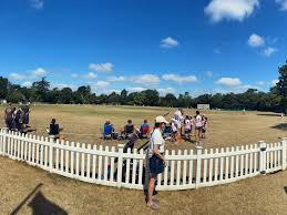 Image result for Buscot Park Cricket Club