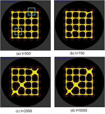 Attēlu rezultāti vaicājumam “Physarum nitens macro”