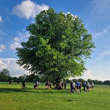 Image result for Clapham Common Touch Rugby