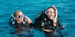 Image result for Great Western Divers