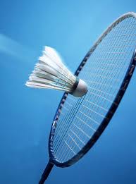 Image result for Dolphin Badminton Club