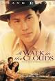 A Walk in the Clouds (1995) - IMDb