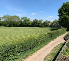 Image result for Penn Cricket Club