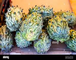 Attēlu rezultāti vaicājumam “Echinocystis lobata fruit”