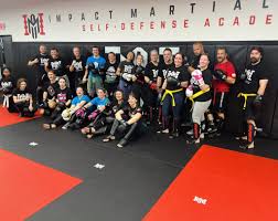 Image result for Impact Martial Arts