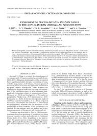 Attēlu rezultāti vaicājumam “Trichia alpina sessile”