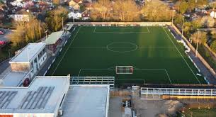 Image result for Dorking Wanderers F C