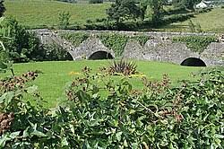 Image result for Silverbridge Harps Gac