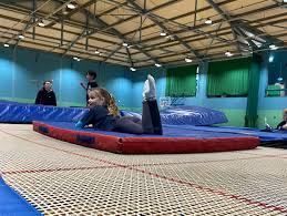 Image result for Swallows Trampoline Club