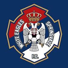 Image result for White Eagles Volleyball Club