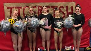 Image result for Ipswich Gymnastics