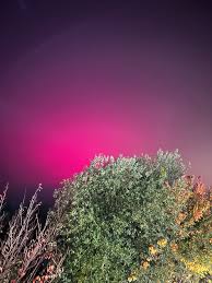 Afbeeldingsresultaat voor northern lights tomato