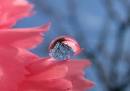 Really) Stunning Pictures and PHOTOS - Smashing Magazine