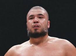 「ミゲン・マウジン」の画像検索結果