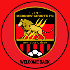 Image result for Meadow Sports Badminton Club
