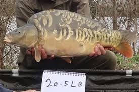 Image result for Addlestone Angling Society