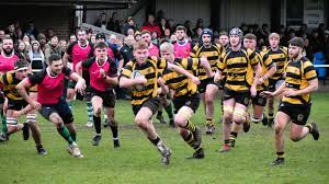 Image result for Hinckley Rugby Football Club