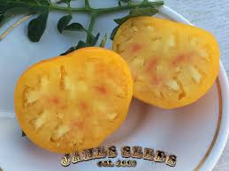 Afbeeldingsresultaat voor anna russian tomato