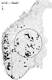 Attēlu rezultāti vaicājumam “Menegazzia terebrata”