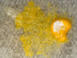 Attēlu rezultāti vaicājumam “Licea chelonoides”