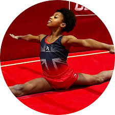 Image result for Hemsworth Odyssey Gymnastics Squad