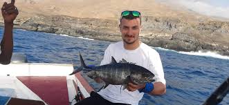 Image result for Caranx crysos