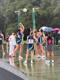 Image result for Wombles Netball Club