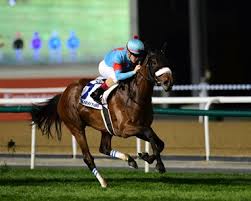 Image result for Almond Riding Club