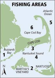 Image result for Redoubtables Cc