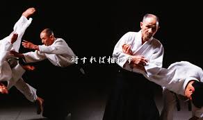 Image result for Goryukai Aikido Yoshinkan (Chichester)
