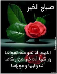 مدونة اسلامية .. - صفحة 66 Images?q=tbn:ANd9GcQ4QwLqjX76b13o_ZUIilNlk3C_nE3YuYM88HQkI6zQLwZskVbC3w