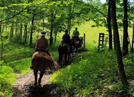 Image result for Greenways Riding Stable Lower Eashing