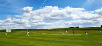 Image result for Stowmarket Cricket Club