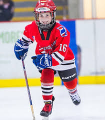 Image result for Streatham Night Wolves Ice Hockey Team