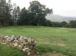 Image result for Bridge Of Allan Sports Club
