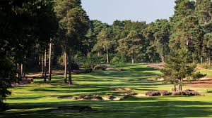 Image result for West Surrey Golf Club