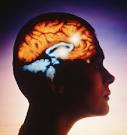 What is Omega-3 DHA?