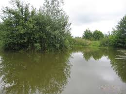 Image result for Bay Malton Angling Club