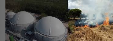 Image result for papop